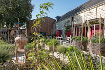 Domaine Amirault - Clos des Quarterons à Saint-Nicolas-de-Bourgueil