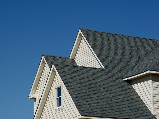ProClean Roof Cleaning