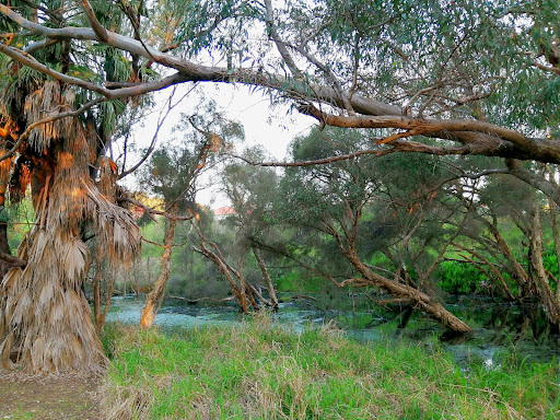 Foreshore Place Reserve - Thumbnail