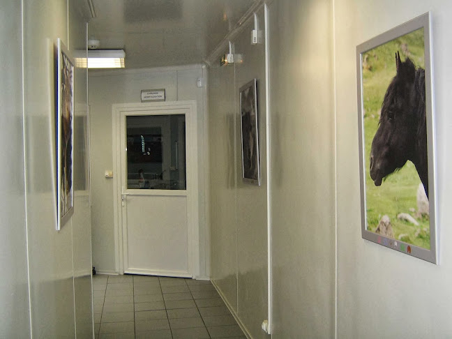 Clinique Vétérinaire Les Margats - Calais