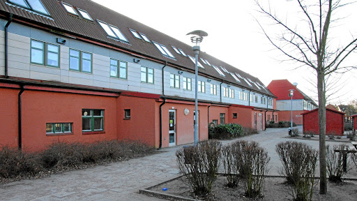 Fridasroskolan - Thumbnail