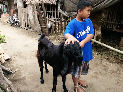 Photos of Taman Ijo Bunga