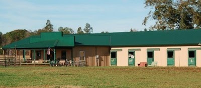 Strides of Strength Therapeutic Riding