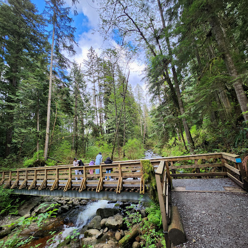 Steelhead Falls View Point - Thumbnail