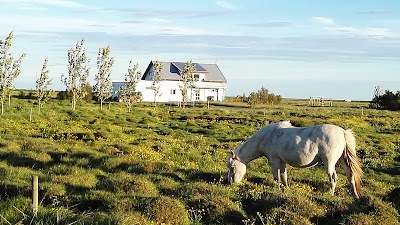 Photos of M&yacute;ri Guesthouse - Stay for a Tree