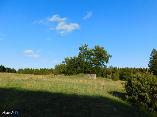Rauhe Steige Nature Reserve - Thumbnail