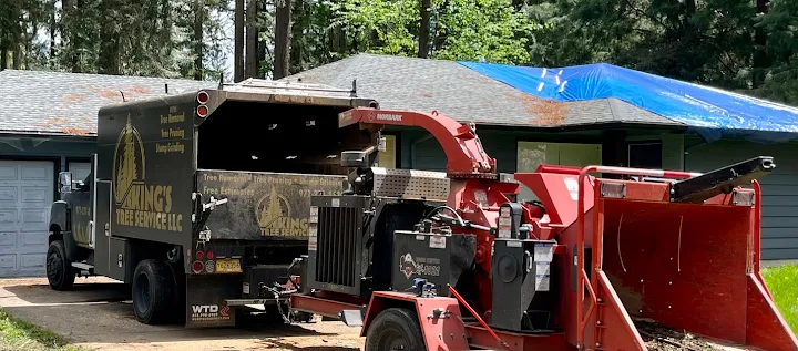 King's Tree Service, LLC