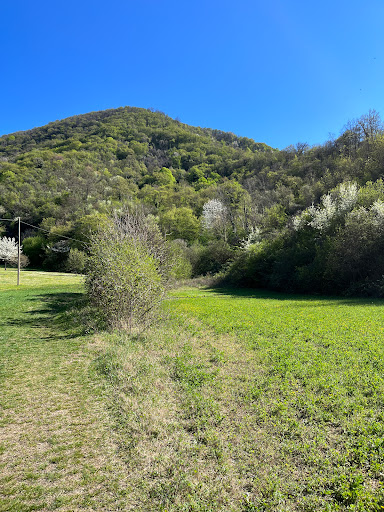 Chiesa di S. Vito - Thumbnail