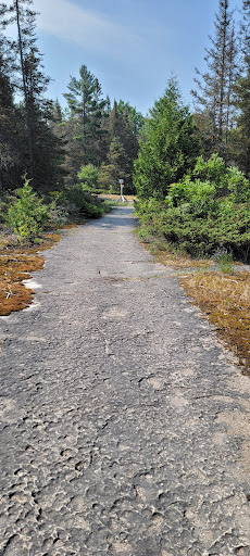 Coastal Alvar Trail - Thumbnail