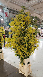 Photo n°24 de Fleuriste Interflora à Grandvilliers (Fleuriste)