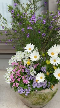 志木/効くエステenarym