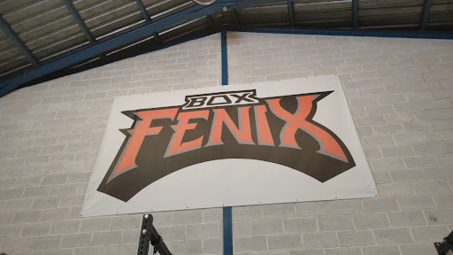 Box Fenix - Thumbnail