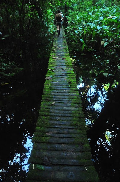 Photos of isla de los monos