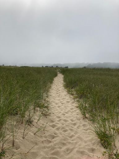 Toms Neck Point - Thumbnail