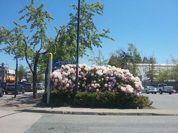 Cibc Branch With Atm 7188 King George Boulevard Surrey Bc V3w