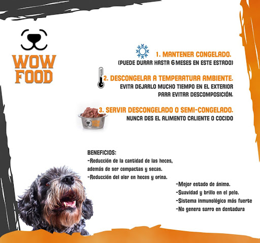 Wow Food Metepec - Thumbnail