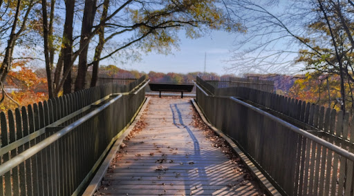 Observation Platform 2 - Visual