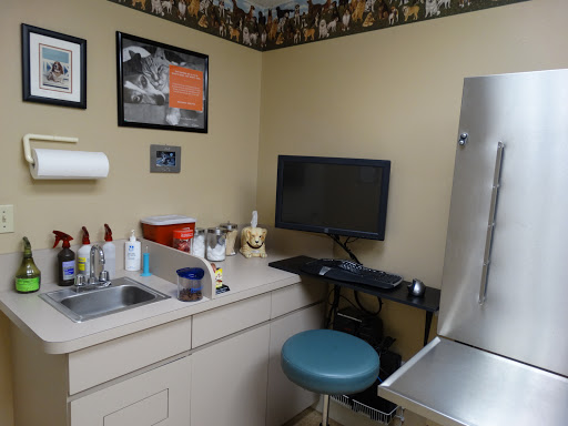 Sarasota Veterinary Center Gallery - United States