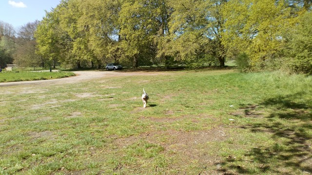 Thetford Forest Park