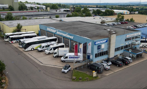 BUS + LKW SERVICE GROSS GmbH & Co. KG Logo