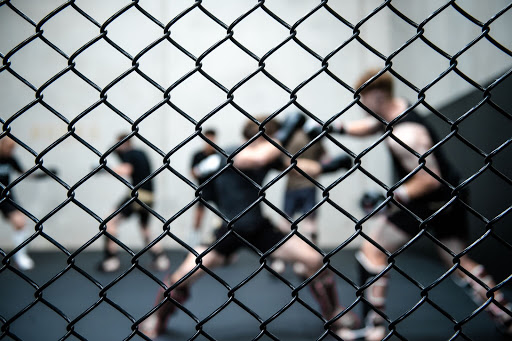 Bones MMA - Visual