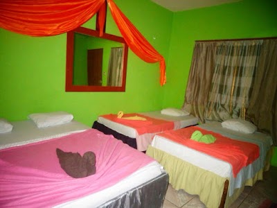 Photos of Tortuguero Natural B&B