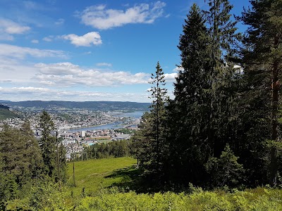 Photos of Drammen Slalom club Hauk&aring;s trail