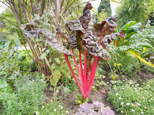 Square de la Butte du Chapeau Rouge