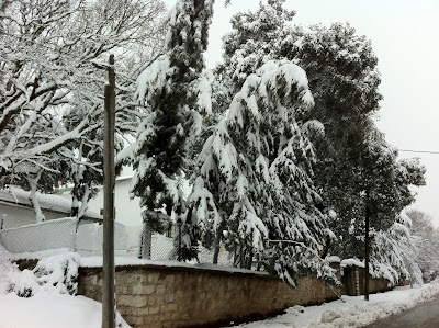 Photos of Le Sapin
