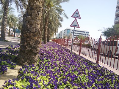 Photos of Al Muteena Park