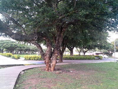 Photos of PLAZA DEL BIBOSI