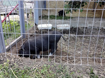 Photos of ZOOcafe