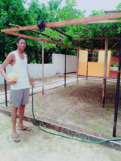 Photos of Habibou Jallow's Garden