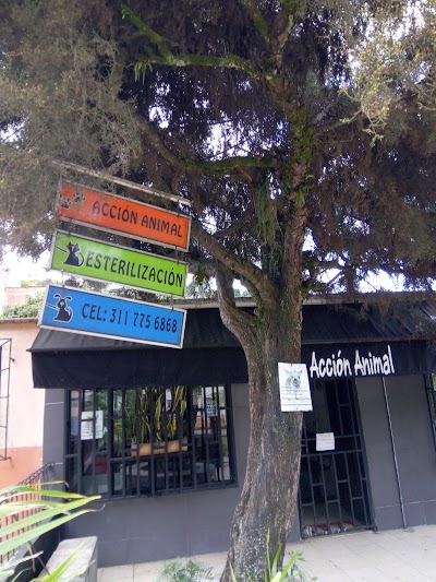 Photos of Acci&oacute;n Animal