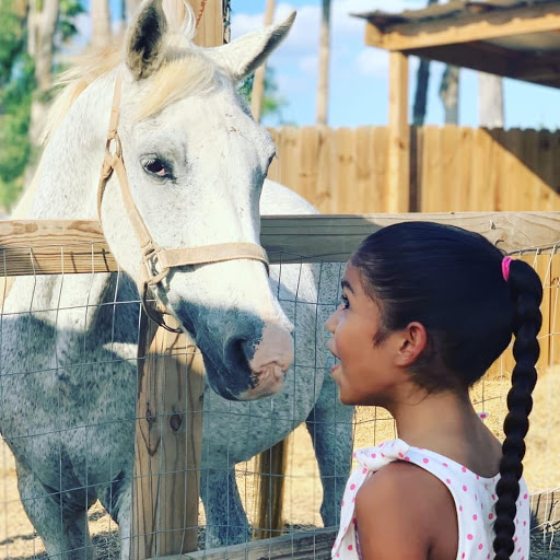 Big Red's Ranch - Visual