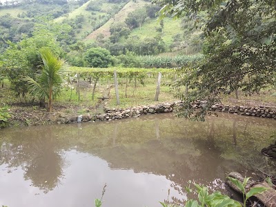 Photos of Beneficio San Carlos