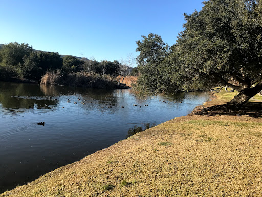 Willow Loop Campground - Visual
