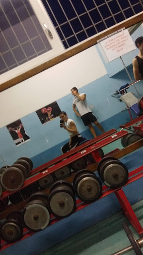 Palestra 5 Anelli - Thumbnail