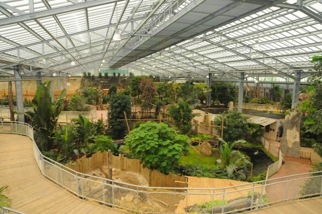 Biotropica, les jardins animaliers