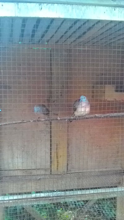 Photos of Penginapan Keluarga