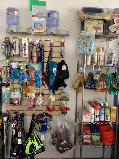 @pet-shop - Thumbnail