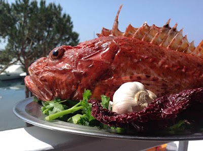 Photos of Red Lantern - Osteria del mare -