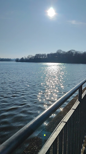 Opinii despre Le Bord Du Lac în Cholet - Restaurant