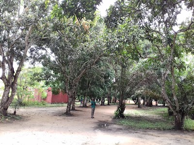 Photos of Lufasi Nature Park Lagos