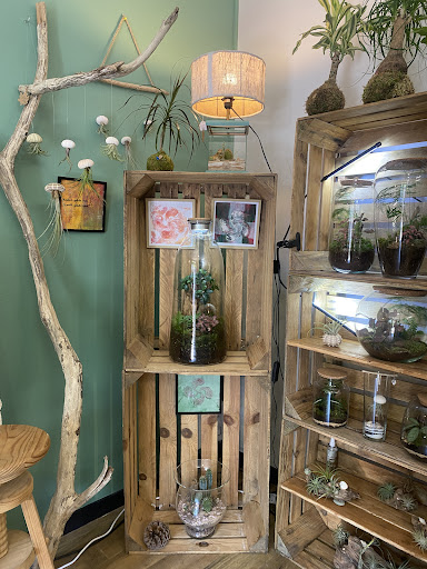 Photo de Poterie Navarraise à Saint-Étienne-de-Baïgorry (64430)