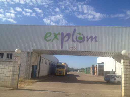 Explum - Visual