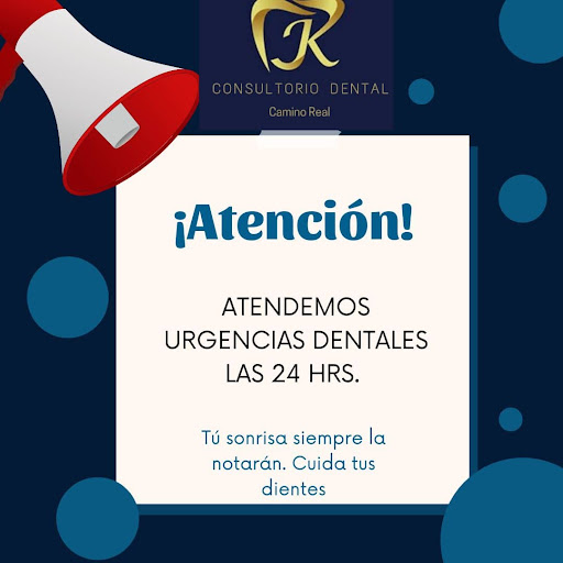 Consultorio Dental Camino Real Logo