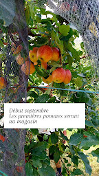 Photo n°9 de Va Bene bio et local à Sospel (Magasin bio)