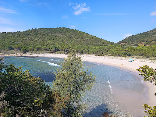 Camping Fautea - Visual