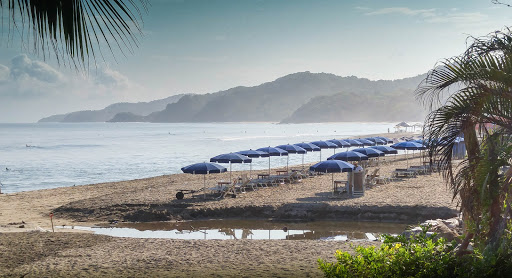 Ai Real Estate & Relocation